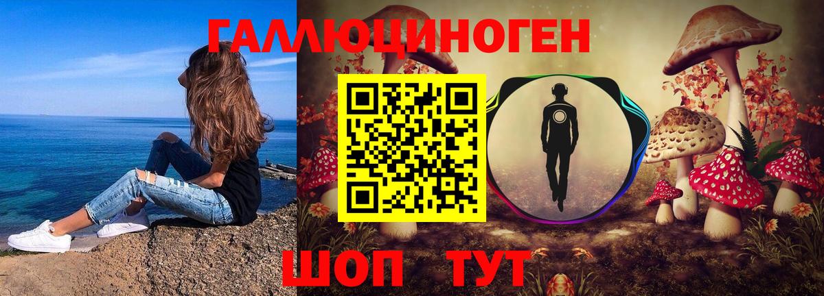 Галлюциногенные грибы Psilocybine cubensis Арсеньев