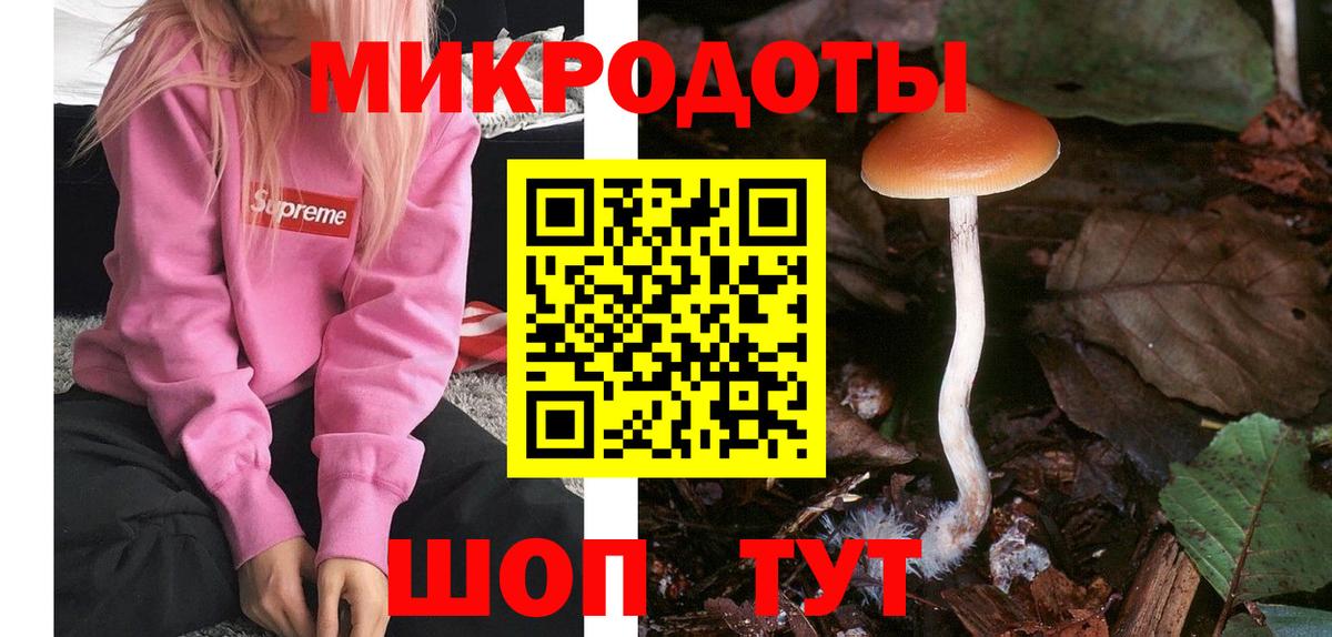 Арсеньев  Галлюциногенные грибы мицелий  Вход с VPN 